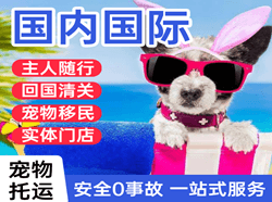 昆冈空运国际宠物托运 【国